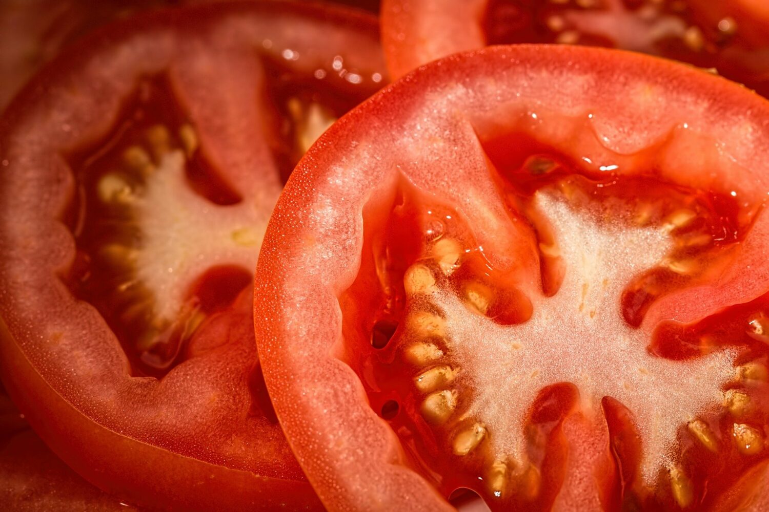 tomatoes-769999_1920